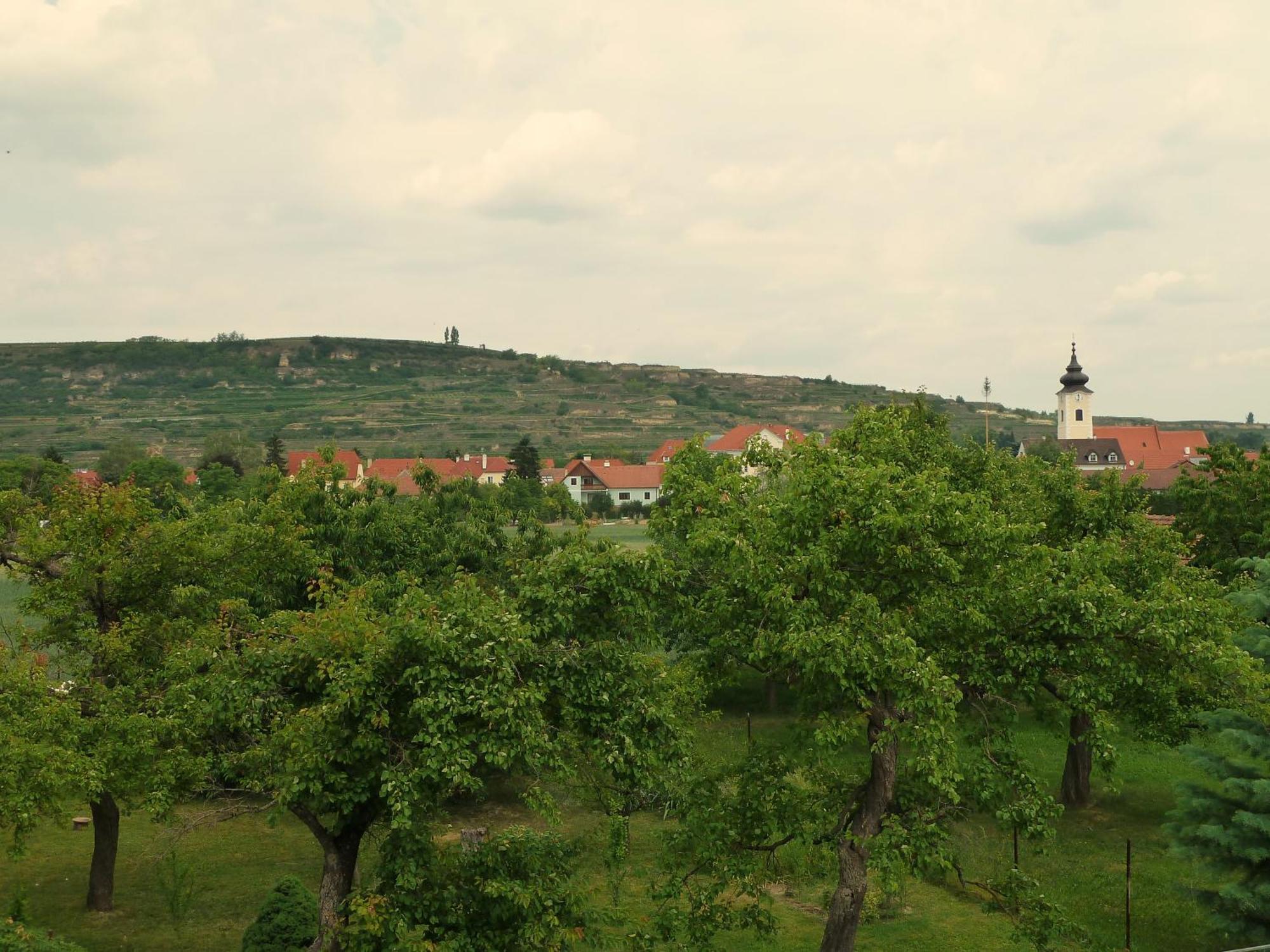 Ferienwohnung Weinbergblick Rohrendorf bei Krems Εξωτερικό φωτογραφία