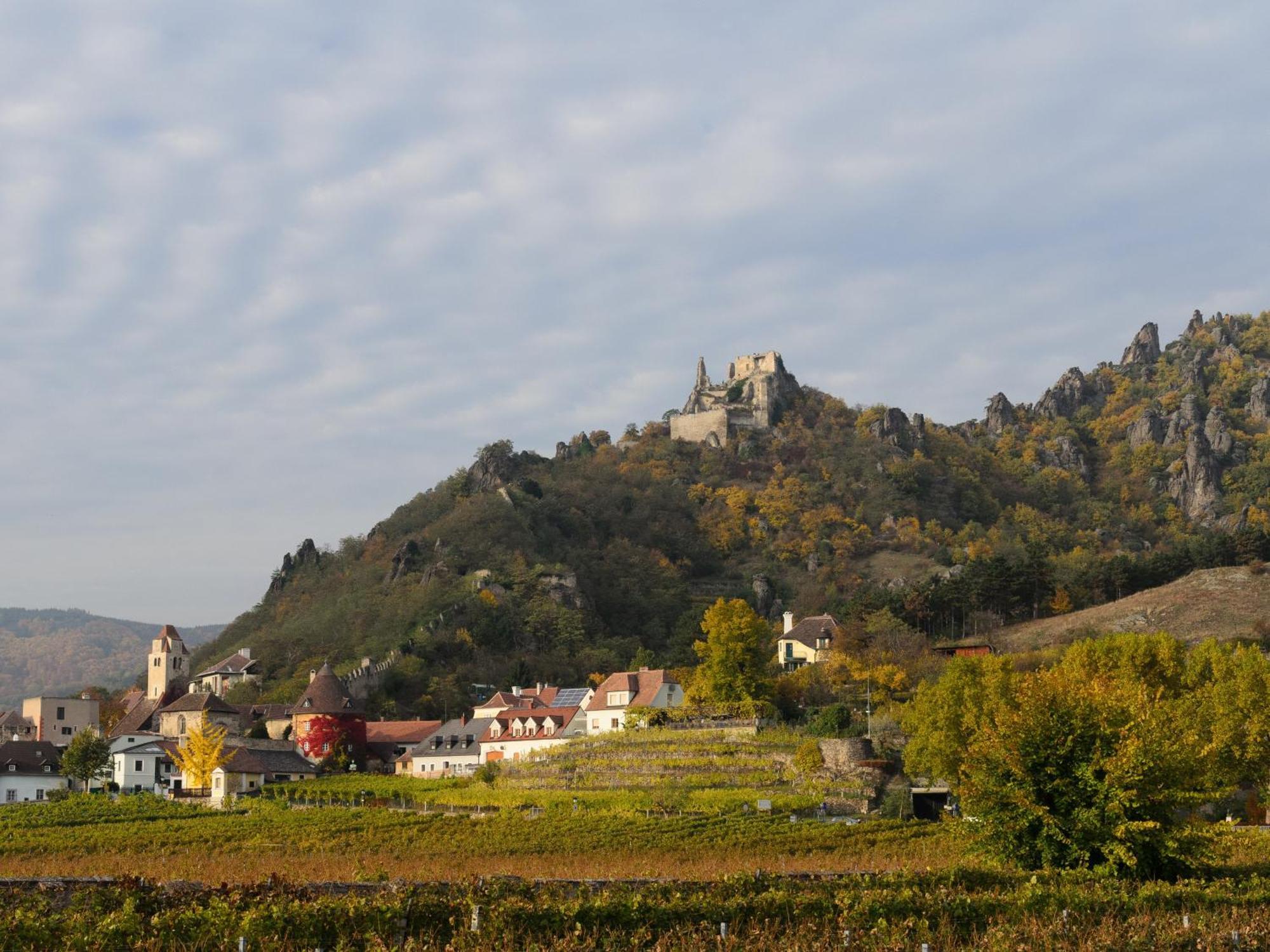 Ferienwohnung Weinbergblick Rohrendorf bei Krems Εξωτερικό φωτογραφία