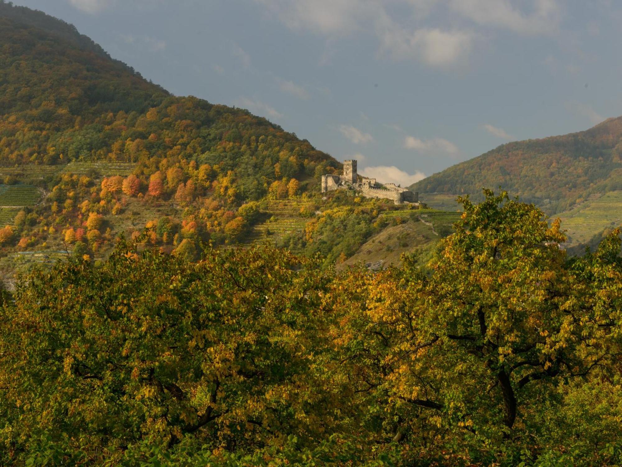 Ferienwohnung Weinbergblick Rohrendorf bei Krems Εξωτερικό φωτογραφία