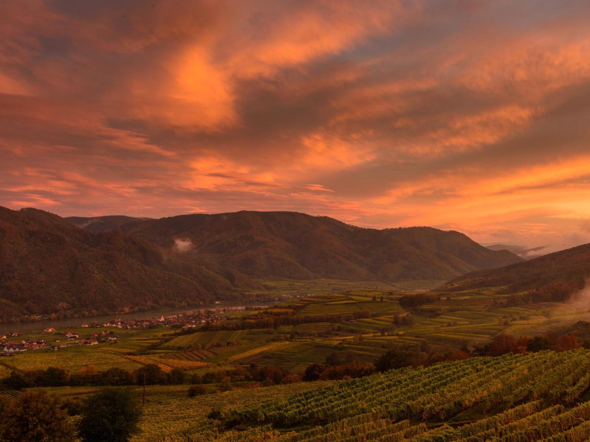 Ferienwohnung Weinbergblick Rohrendorf bei Krems Εξωτερικό φωτογραφία