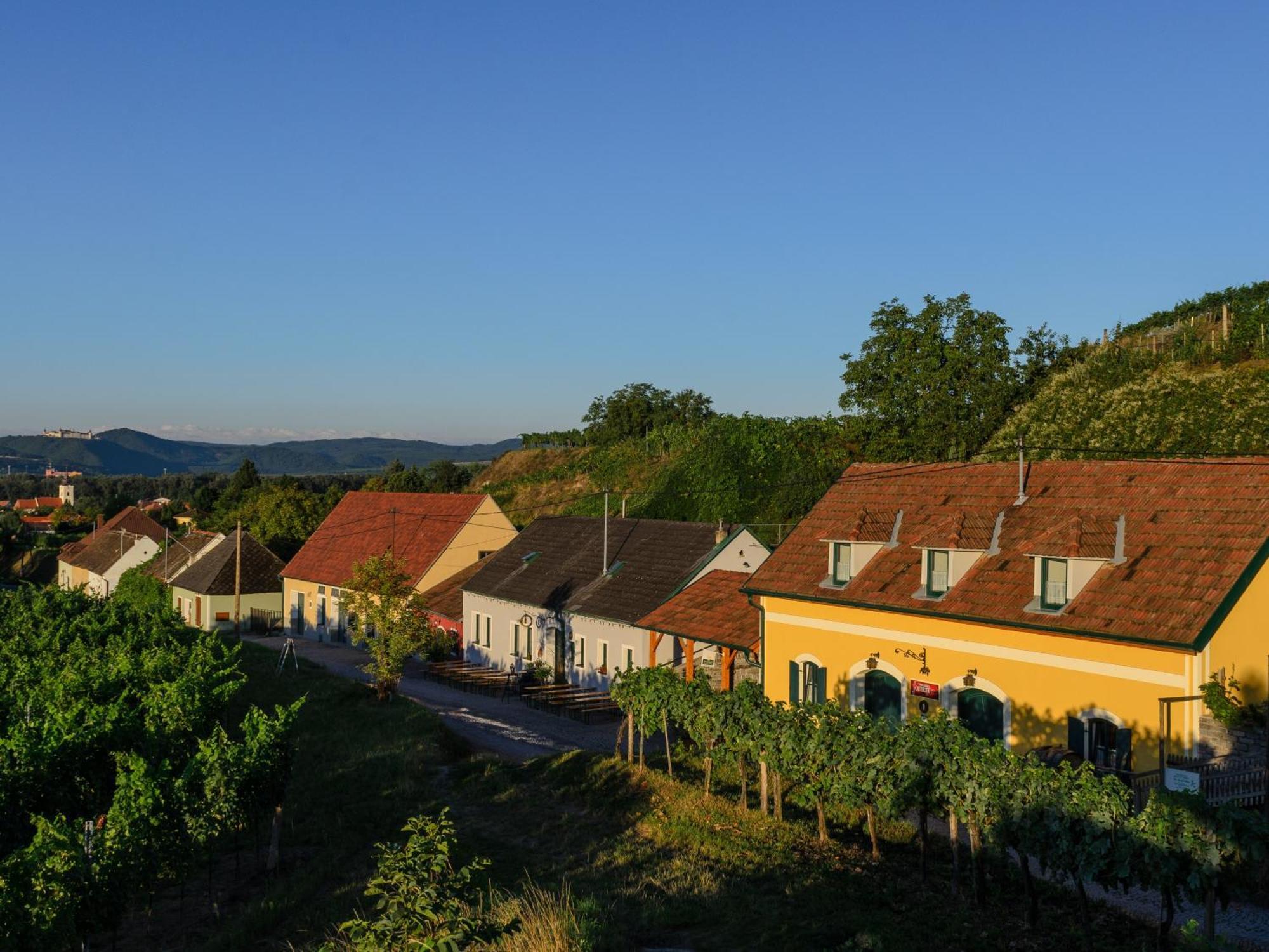 Ferienwohnung Weinbergblick Rohrendorf bei Krems Εξωτερικό φωτογραφία
