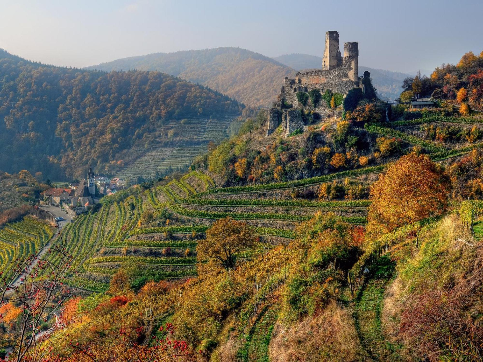 Ferienwohnung Weinbergblick Rohrendorf bei Krems Εξωτερικό φωτογραφία