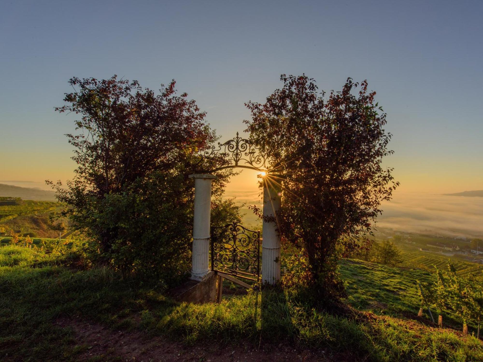 Ferienwohnung Weinbergblick Rohrendorf bei Krems Εξωτερικό φωτογραφία